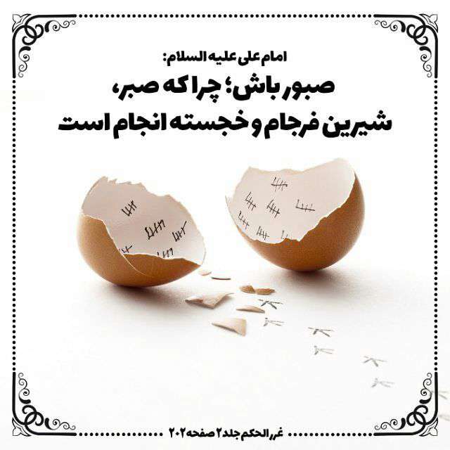 حدیثی از امام علی در مورد صبوری